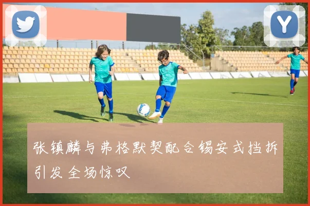 张镇麟与弗格默契配合锡安式挡拆引发全场惊叹